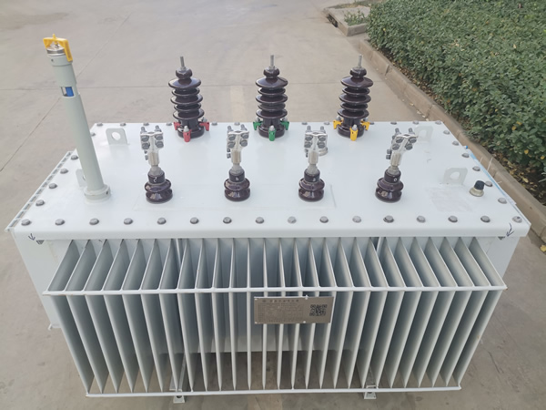 1573717616976274.jpg 10KV油浸SH(B)15非晶合金變壓器 (2).jpg